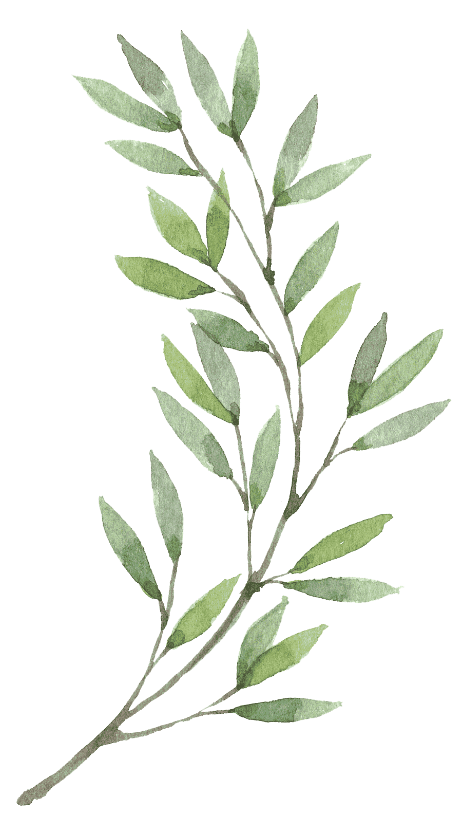 Онкопрофилактика Онкопрофилактика